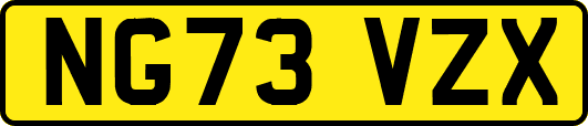 NG73VZX