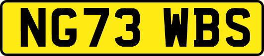 NG73WBS
