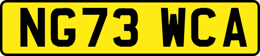 NG73WCA