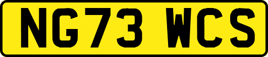 NG73WCS