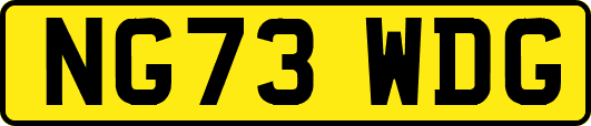 NG73WDG