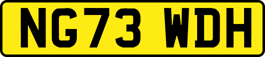 NG73WDH