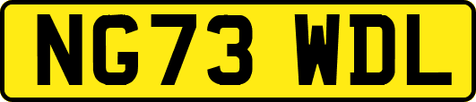 NG73WDL