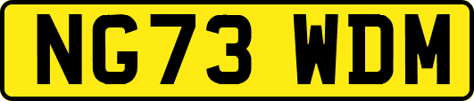 NG73WDM