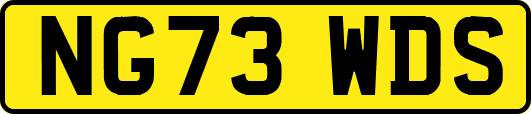 NG73WDS