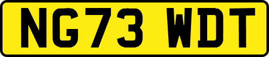 NG73WDT