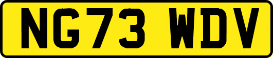 NG73WDV