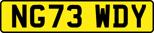 NG73WDY