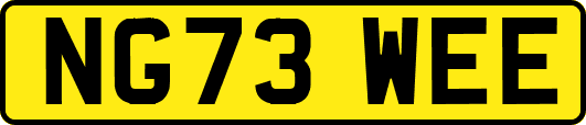 NG73WEE