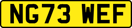 NG73WEF