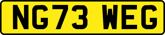 NG73WEG