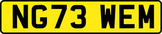NG73WEM