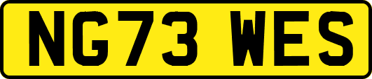 NG73WES