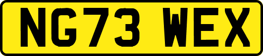 NG73WEX