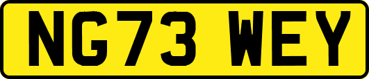 NG73WEY
