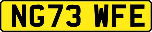 NG73WFE
