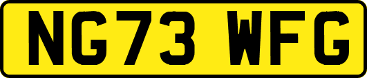 NG73WFG