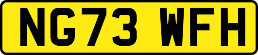 NG73WFH
