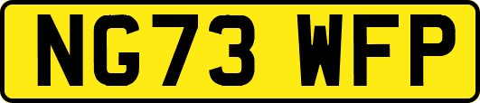 NG73WFP