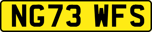 NG73WFS