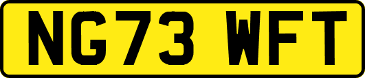 NG73WFT