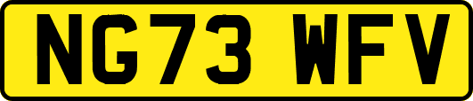 NG73WFV