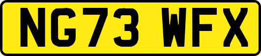 NG73WFX