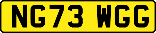 NG73WGG