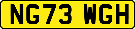 NG73WGH