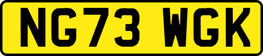 NG73WGK