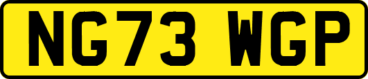 NG73WGP