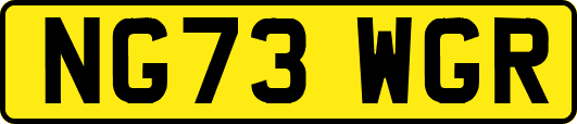 NG73WGR