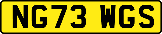 NG73WGS
