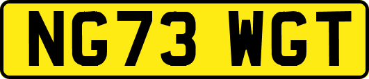 NG73WGT