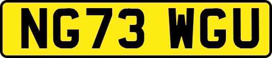 NG73WGU