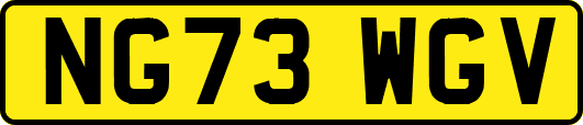 NG73WGV