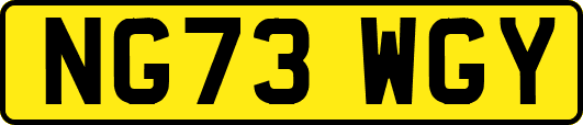 NG73WGY