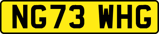 NG73WHG