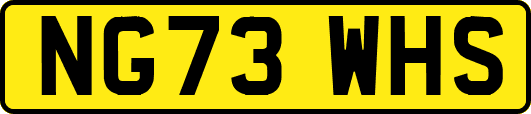 NG73WHS