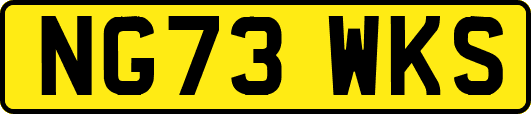 NG73WKS