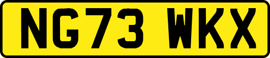 NG73WKX