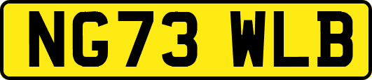NG73WLB