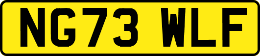 NG73WLF