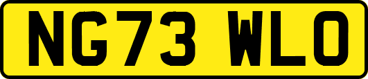 NG73WLO