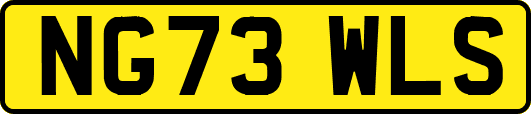 NG73WLS