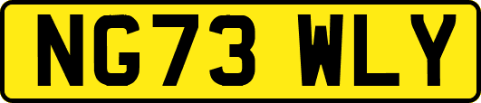 NG73WLY