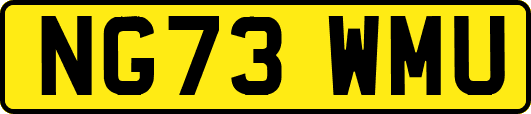 NG73WMU