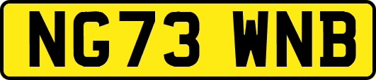 NG73WNB