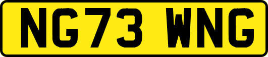 NG73WNG