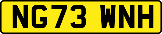 NG73WNH